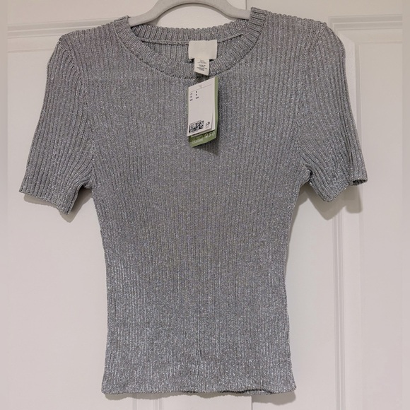 H& M Metalic rib knit top NWT SZ S - Picture 1 of 5